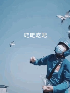 空无一人的动物园正在发生什么