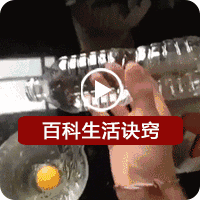 王菲怀孕了,可谢霆锋却哭了!只因这件事情不能忍!