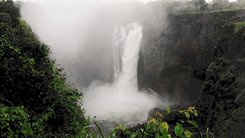 500_281gif 动态图 动图