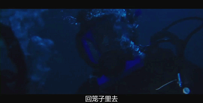 为什么美女都喜欢作死?
