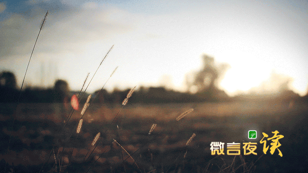 我们从忧患中学得智慧