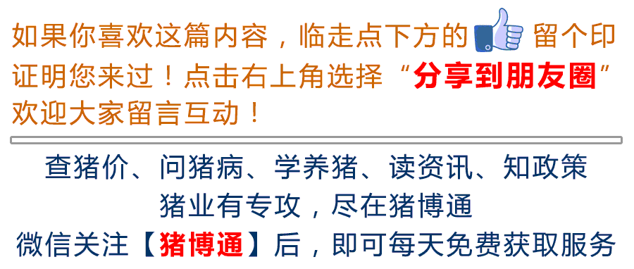 12月24日-全国猪价跌的多,涨的少!什么情况?