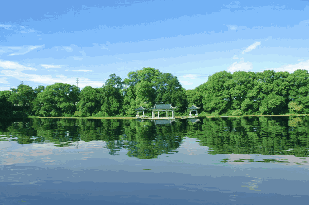 若说春色满十分,桃花便尽占七分!