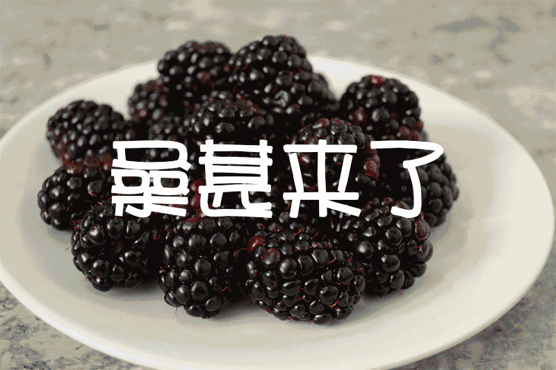 徐州这个地方一天玩个来回刚刚好！还有漂流、采摘、骑马和龙虾节在向你招手