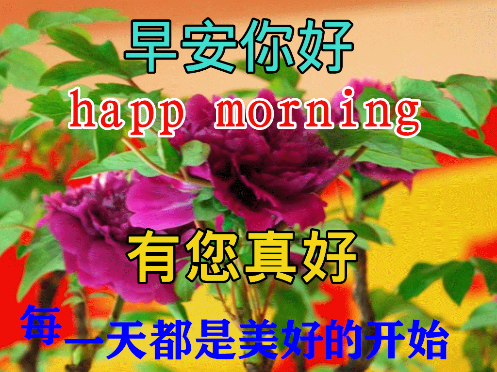 9张冬日最新特漂亮早上好鲜花动画表情图片带祝福语2021最美冬日早安