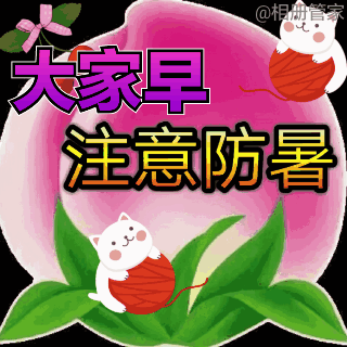 2021夏天最新早上好表情包图片天气炎热注意防暑健康快乐祝福语