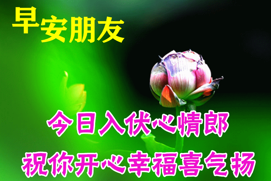 唯美早上好问候祝福动画表情包暖心的入伏早安问候祝福语动态图片表情