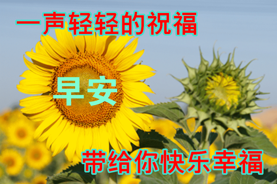 早上好动画表情水果图片带祝福语创意唯美秋日早安问候动态水果图片带