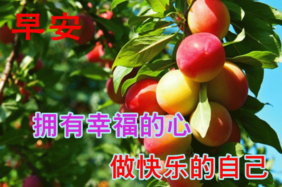 早上好动画表情水果图片带祝福语创意唯美秋日早安问候动态水果图片带