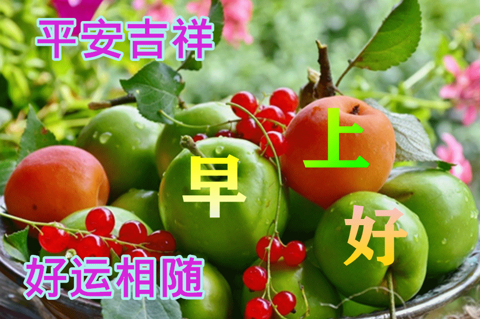 动画表情水果图片带祝福语创意唯美秋日早安问候动态水果图片带字温馨