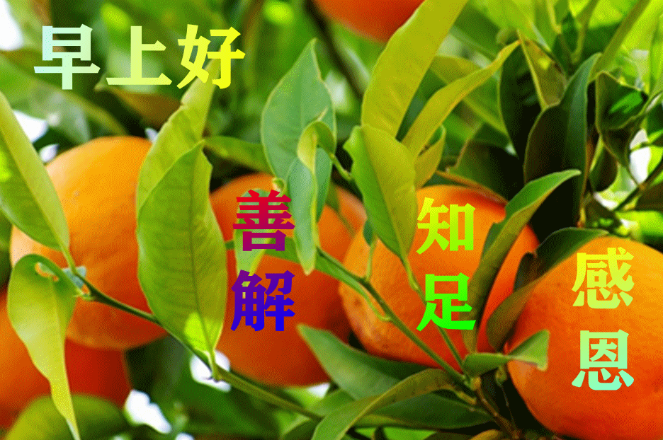 早上好动画表情水果图片带祝福语创意唯美秋日早安问候动态水果图片带