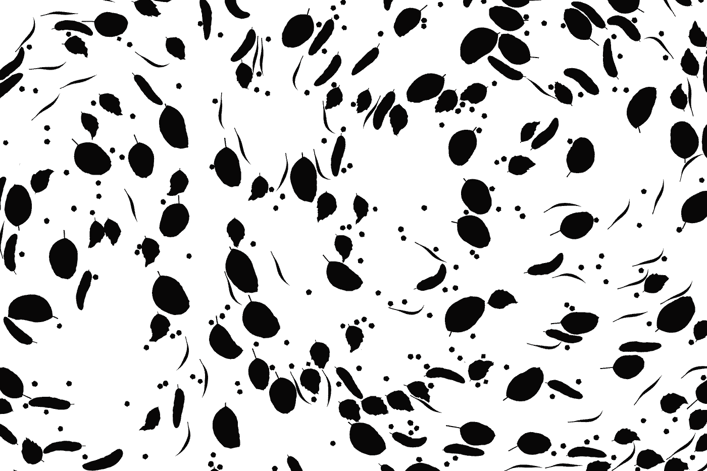 就用创意编程,荷兰设计师让每只纸杯都有独一无二的花纹