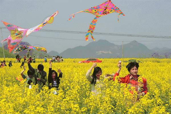 2月18日(初三)相约上万亩油菜花海 园博园,刷爆朋友圈