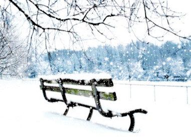 2009年以来,我市已有3年是在11月"邂逅"当年冬天的第一场雪,2009年11