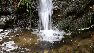 三伏天太难熬?这次我是有备而来!