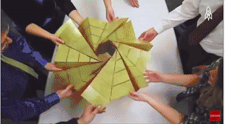 放弃NASA工作跑去玩折纸，这理工大神我服了！