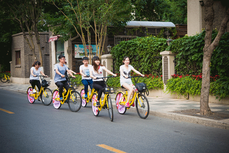 单车都是我们出行的偏爱选择 尤其是小黄 轻松好骑,颜色鲜亮 很配