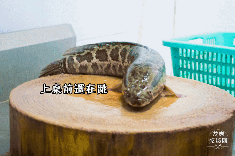 老板任性,明天起5折!