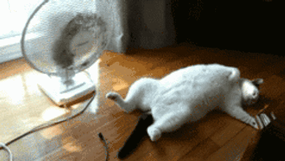 美图化妆秀_郑秀晶爱丽小屋化妆_秀人网美媛馆推女郎图