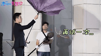 《漂亮的李慧珍》盛一倫撐開傘的一瞬間笑死我了，這傘太搶戲了吧 戲劇 第16張