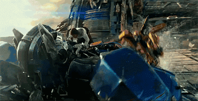 首届变形金刚·百万珍稀蝴蝶