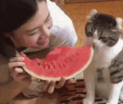 399_339gif 动态图 动图