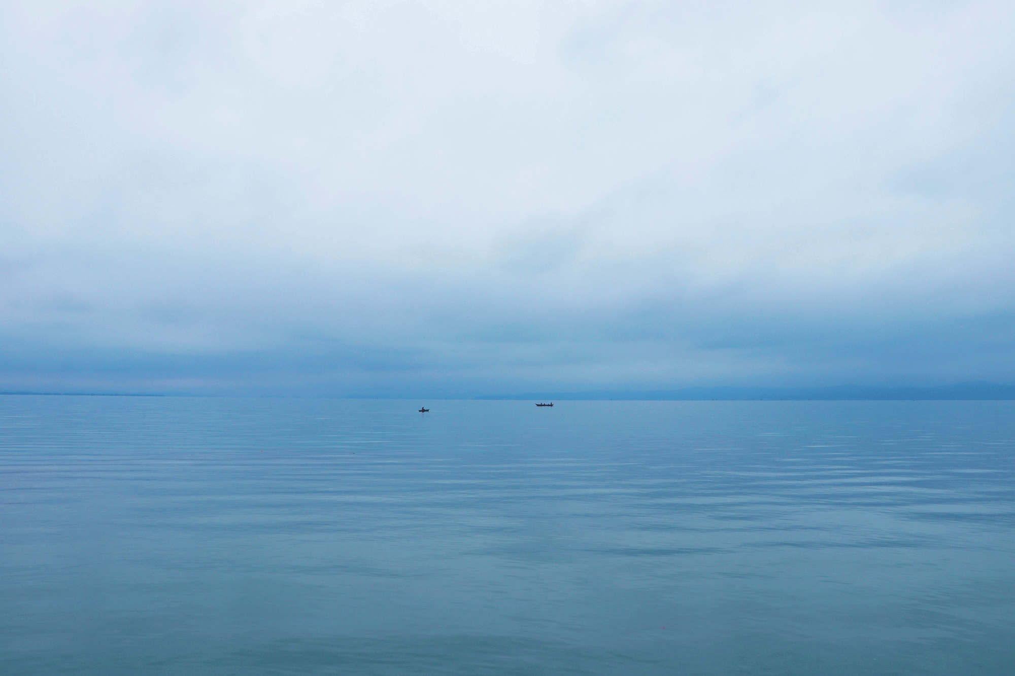 海鸥,花海,云雾…昆明这条最美公路朋友圈刷屏