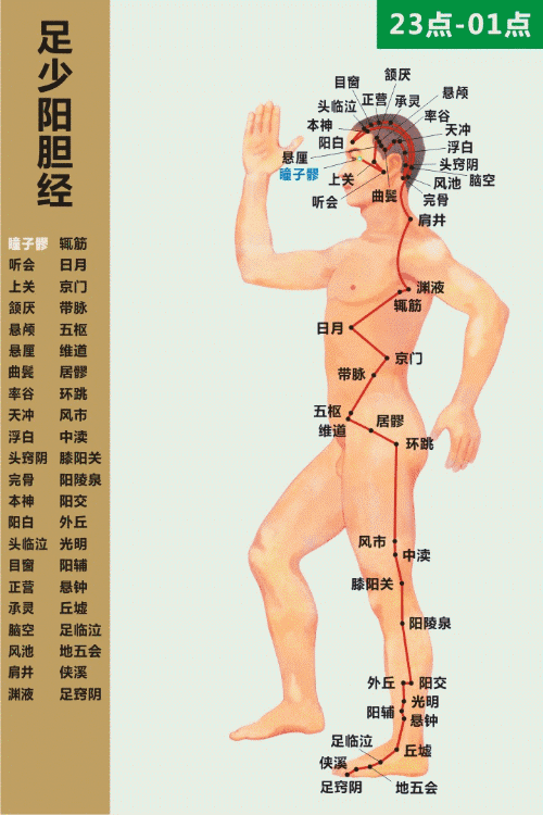 久病入络，经络通，病则少，经络堵，病则多！