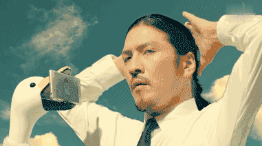 01当生活阅历增多,get到了定海神才能在海洋之中屹立不倒,肾好的特点