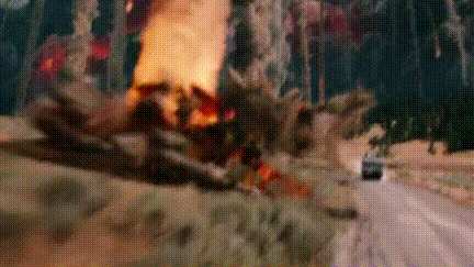 末日的毒:噩梦连连,梦见自己被突如其来的洪水包围,又突然火山爆发,小