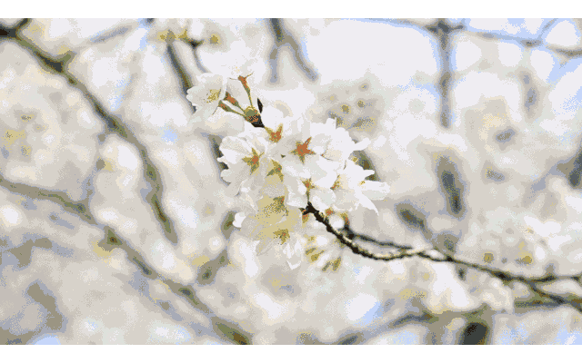 去周庄看古镇?不去!南长街我还没逛够呢! 去九华山拜大佛?