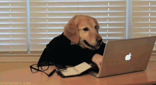 裁员最骚操作：从“输出人才”到“一天百图”