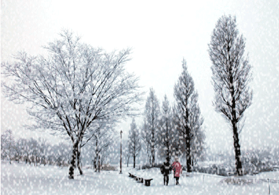 今晚(7日凌晨)延边将迎来大到暴雪!(同时降温!