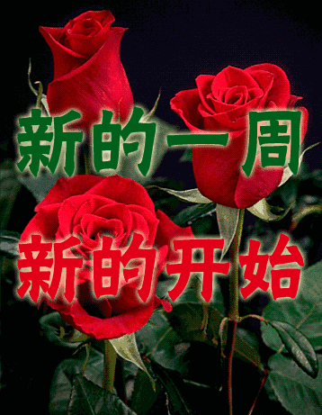 周一早上好,最美早晨祝福语图片表情 早晨动图问候微信