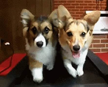 有个聊得来的伴,真的很幸福