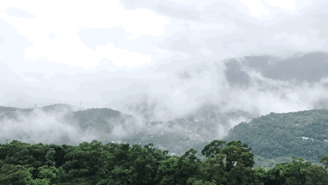 回忆| 在台湾的100个小故事