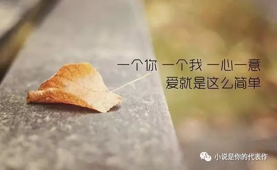 一霎风雨我爱过你