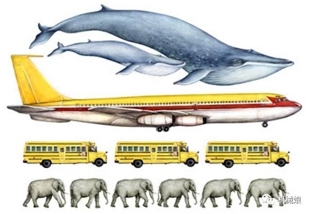 人类能养得起一头蓝鲸吗?