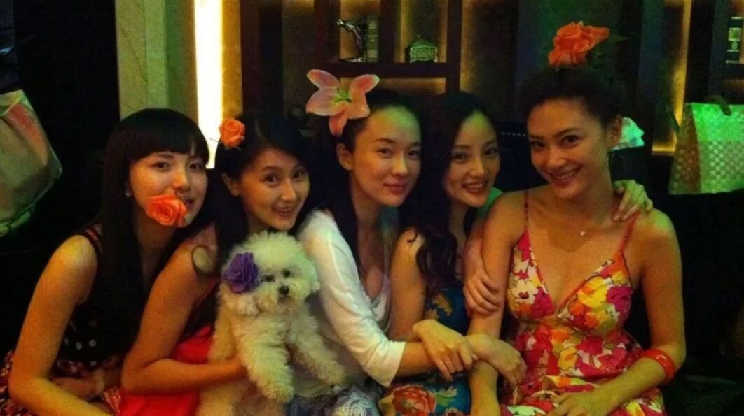 应采儿不想转正加入泰迪姐妹团啦?
