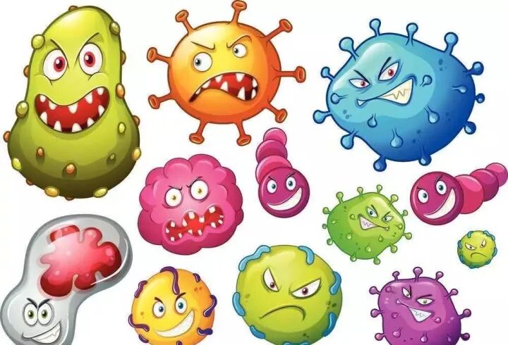 Professional packaging box and label production factory