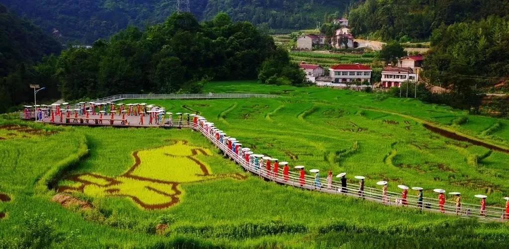 【活动】佛坪"双节"a攻略多,这份旅游攻略你一定要收好思议不攻略_3第图迷宫图片