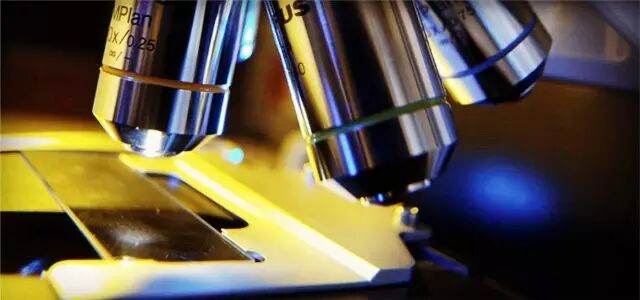 【重发】怀孕生孩子那些事 之 狗狗是被冤枉的-怀孕期