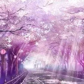 席慕容:回眸(降央卓玛《那一天》)