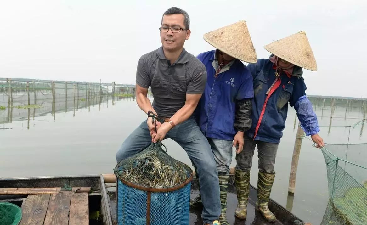 产地 大闸蟹究竟是如何捕捞上来的?实拍阳澄湖蟹农捕蟹现场(多图)