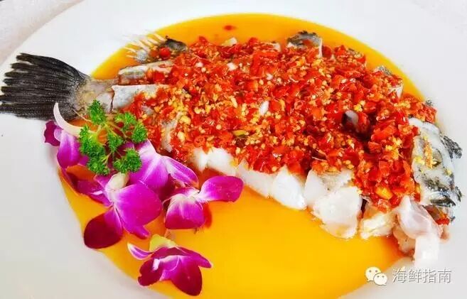 圆鳍鱼_小菠萝鱼并鳍_藻鳍岩鱼在哪里掉