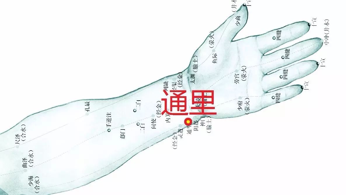 贺氏三通 针法效穴 之四