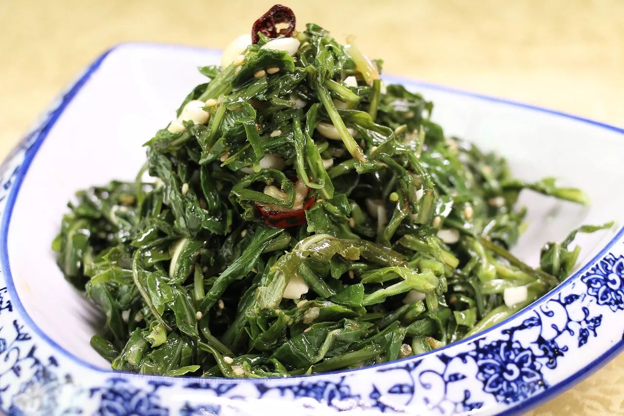 陕北苦苦菜