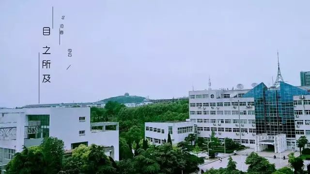 大学经验交流心得体会_大学经验交流心得体会_大学经验交流心得体会