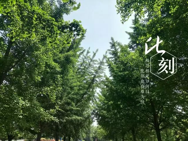 大学经验交流心得体会_大学经验交流心得体会_大学经验交流心得体会