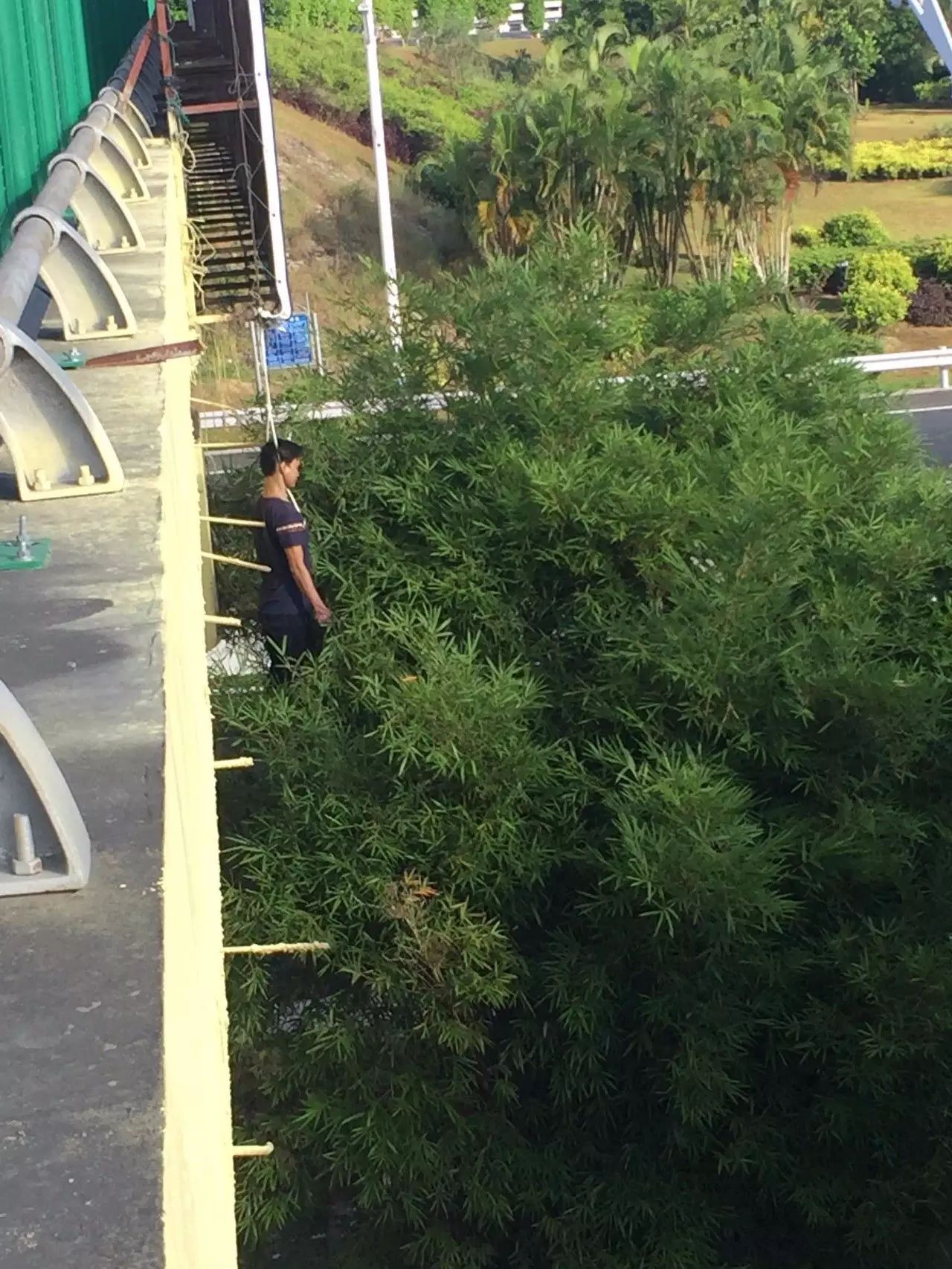 海南一男子失联一天后发现吊死广告牌下(附现场图慎点